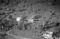 Eiksund, 05.10.1954