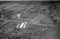 Øggarden, 05.10.1954