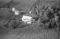 Eiksund, 05.10.1954