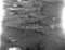 Ytre-Dimna, haust 1954