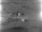 Ytre-Dimna, haust 1954