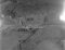 Ytre-Dimna, haust 1954
