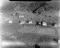 Roppene, haust 1954