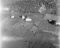 Indreflø, haust 1954