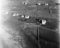 Midtflø, haust 1954