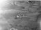Indre-Dimna, haust 1954