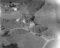 Dimnasund, haust 1954
