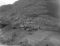 Breivika, haust 1954