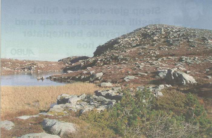 Illustrasjon frå «Grøthornet»