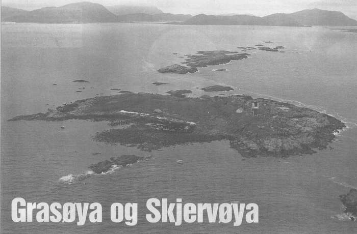Illustrasjon frå «Grasøya og Skjervøya»